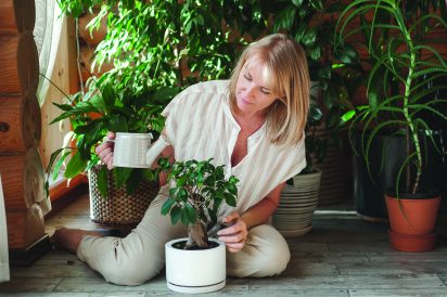 article image - plant